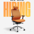 Luxury Real Estate Sales & Lease Associate
